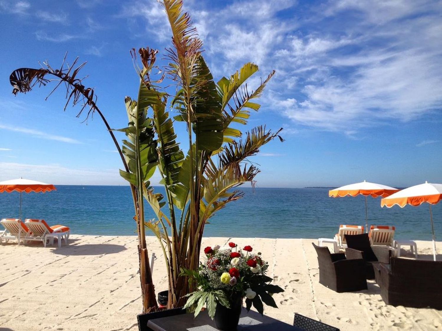 Plage privée spacieuse et magnifique