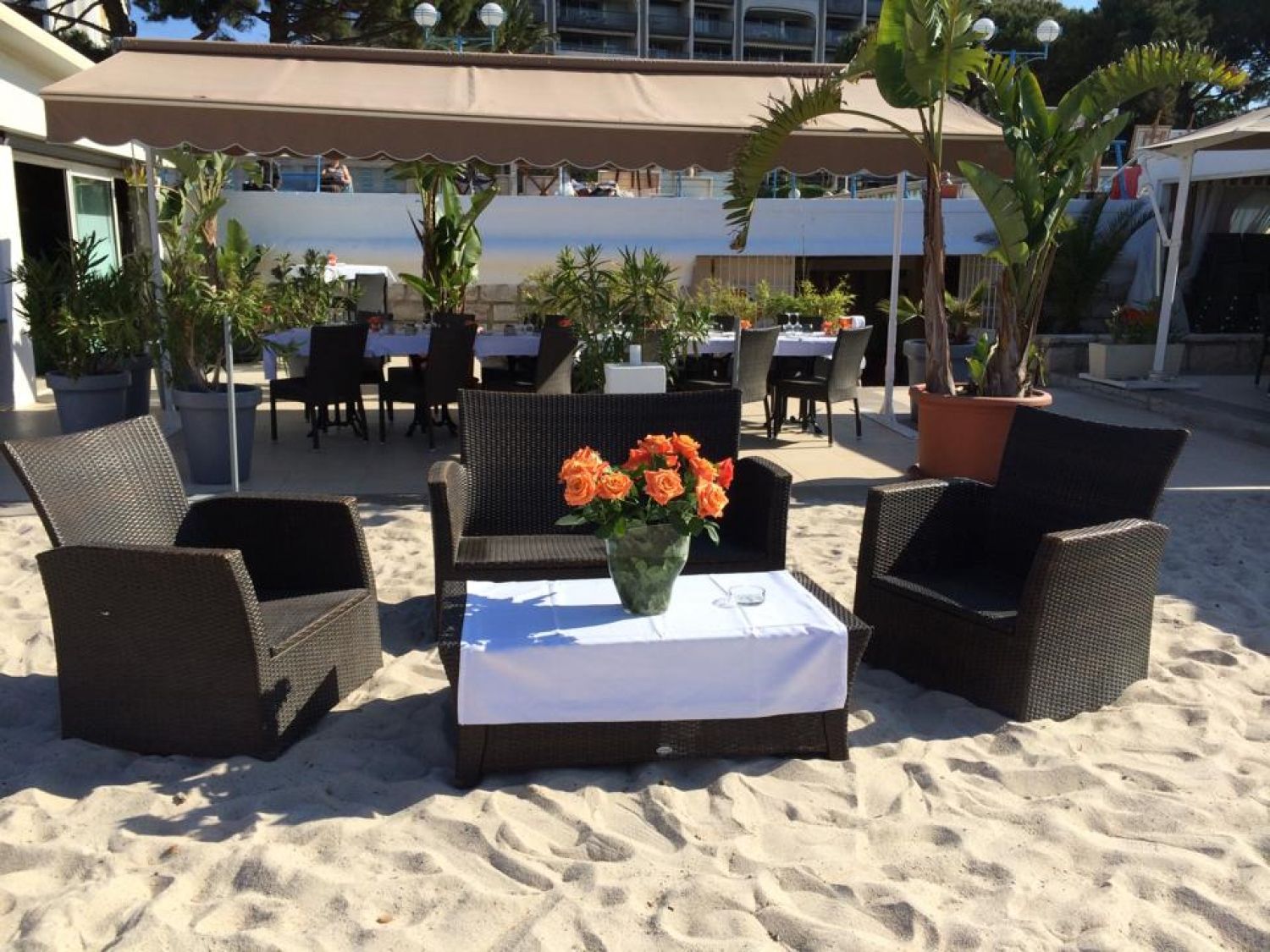 Plage privée spacieuse et magnifique