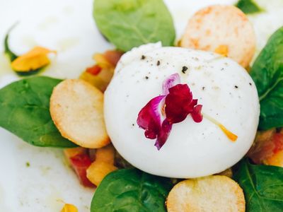 Private Festive Beach Cannes