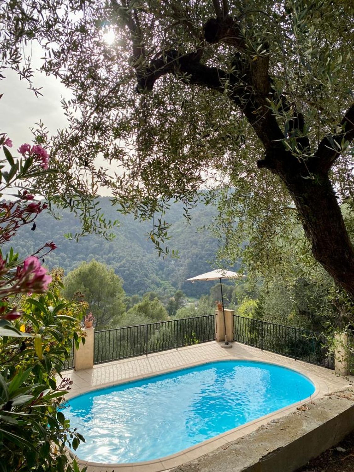 Belle villa avec piscine 12 couchages  à 15 minutes de Nice 