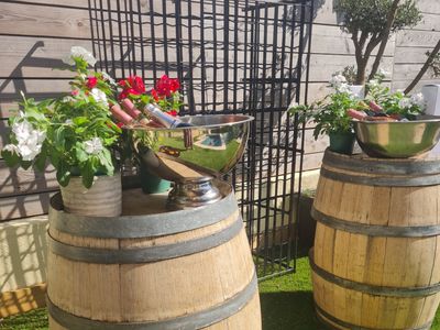 A garden in the city