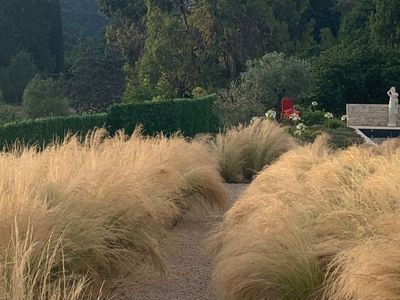 Piscine d'eau salée dans un cadre intime et sauvage