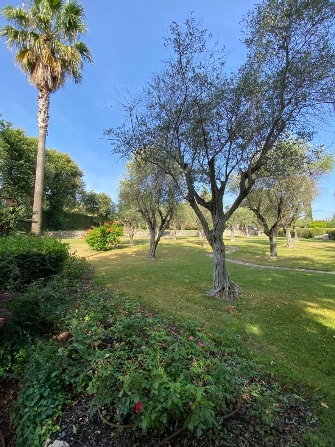 Magnificent Villa with swimming pool in Mougins