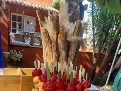 Domaine du mas des palmiers