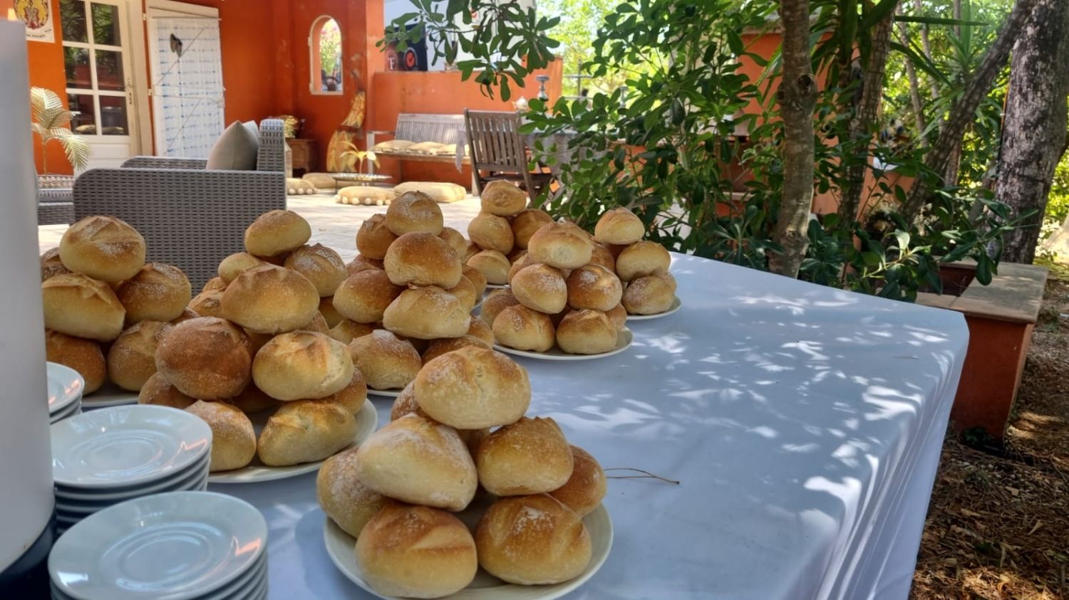 Domaine du mas des palmiers