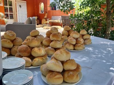 Domaine du mas des palmiers