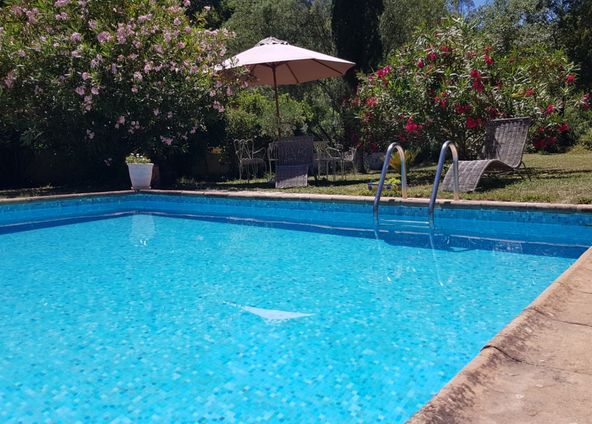 Large swimming pool in a green setting