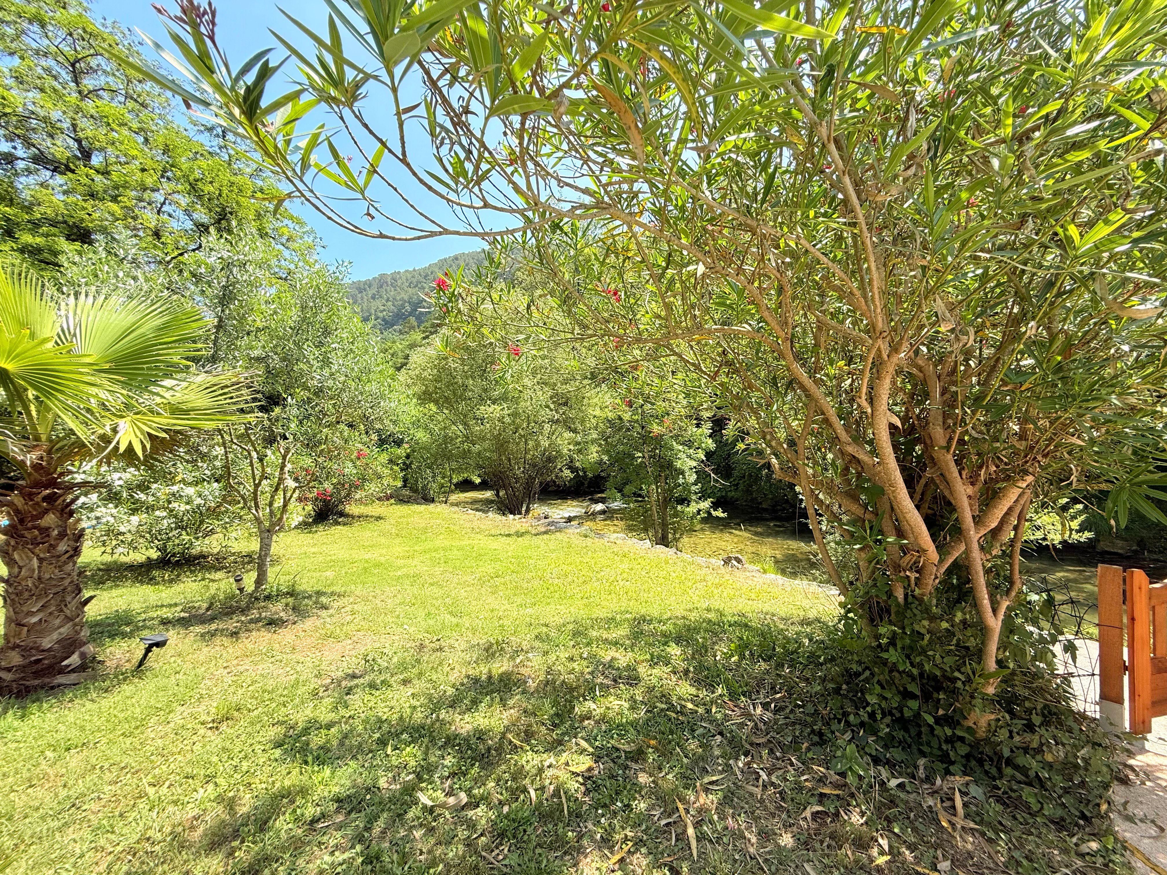 Large swimming pool in a green setting