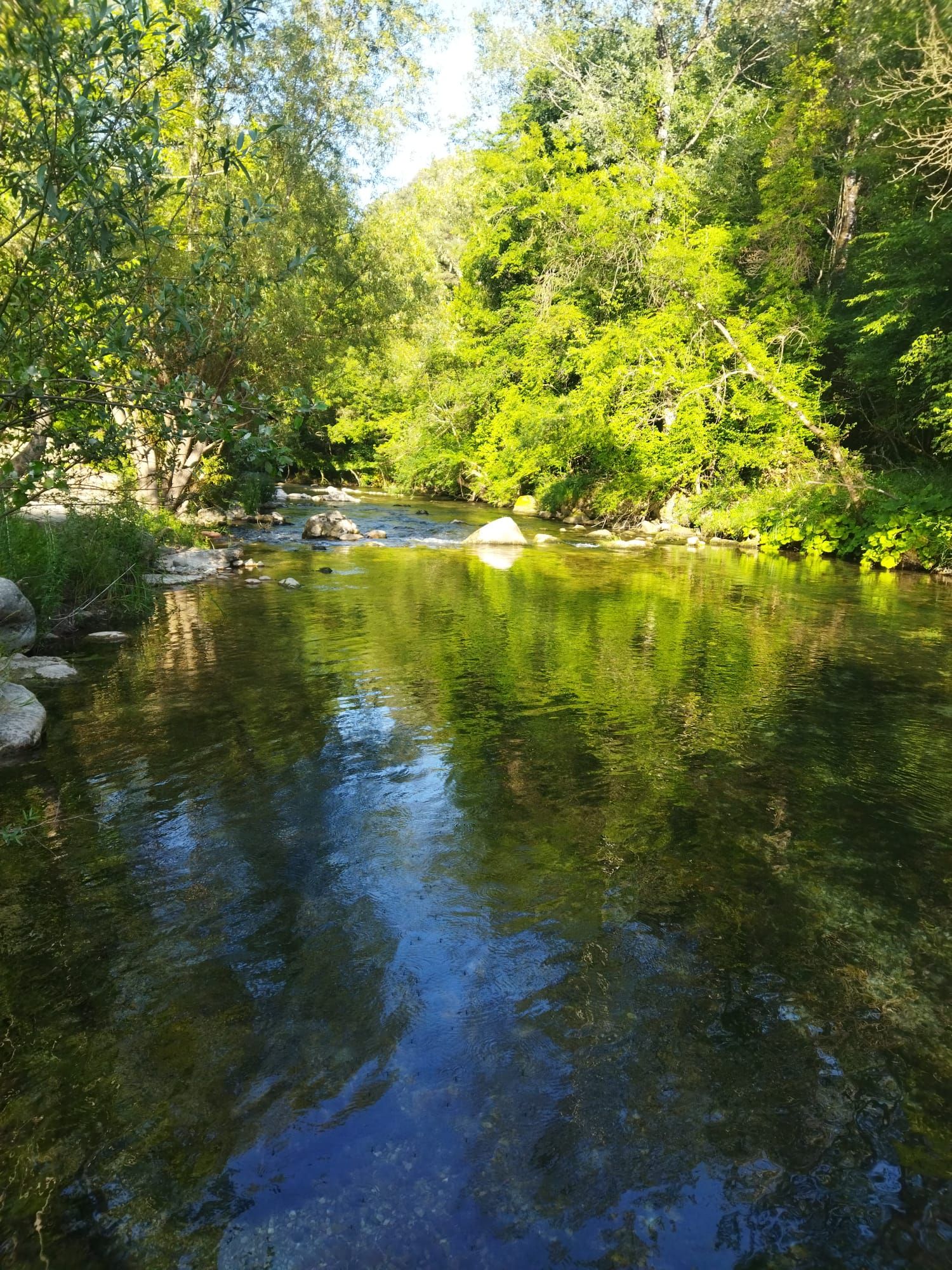 Large swimming pool in a green setting