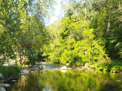Large swimming pool in a green setting