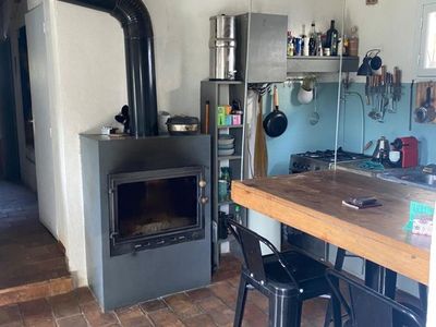 In the heart of the forest