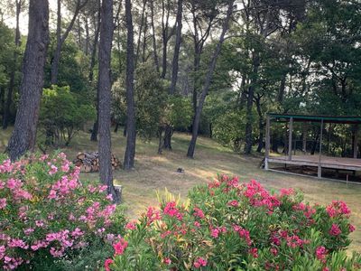 Magnifique Domaine entouré de vignes Bio 