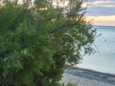 Magnificent luxury villa near Saint-Tropez