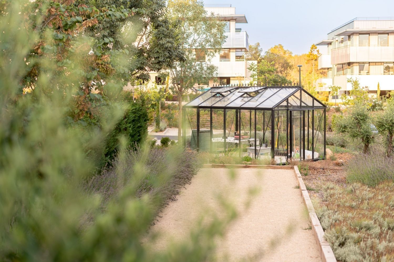 OASIS meeting room - 12pax - Sophia Antipolis