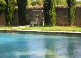 Provençal estate, large garden, vineyards, olive trees