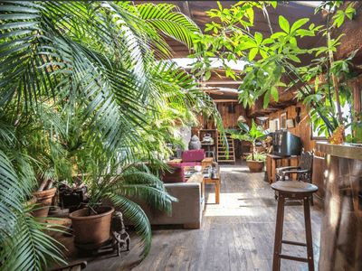 Péniche exotique près de Paris