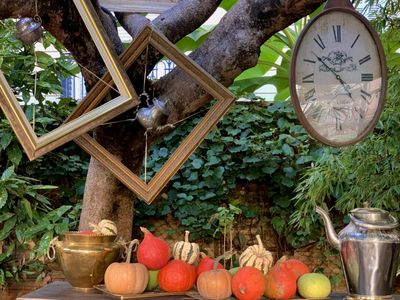 Superb terrace in the heart of Nice