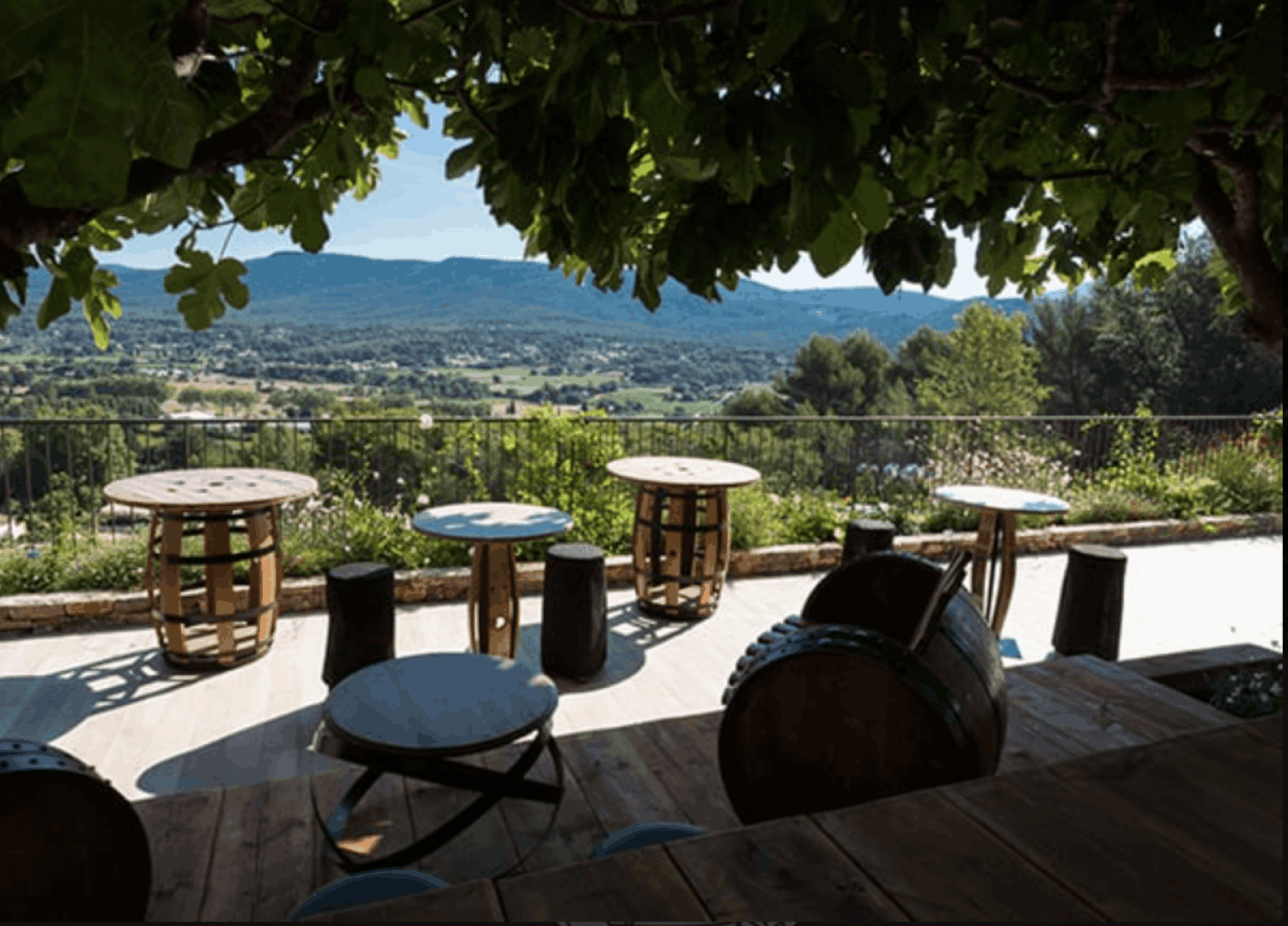 Provençal Estate with Mountain Views for Events & Accommodation