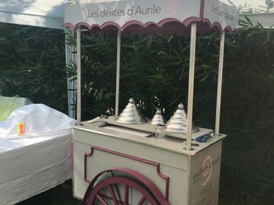 Pretty Provençal Mas (Swimming pool and Pool house)