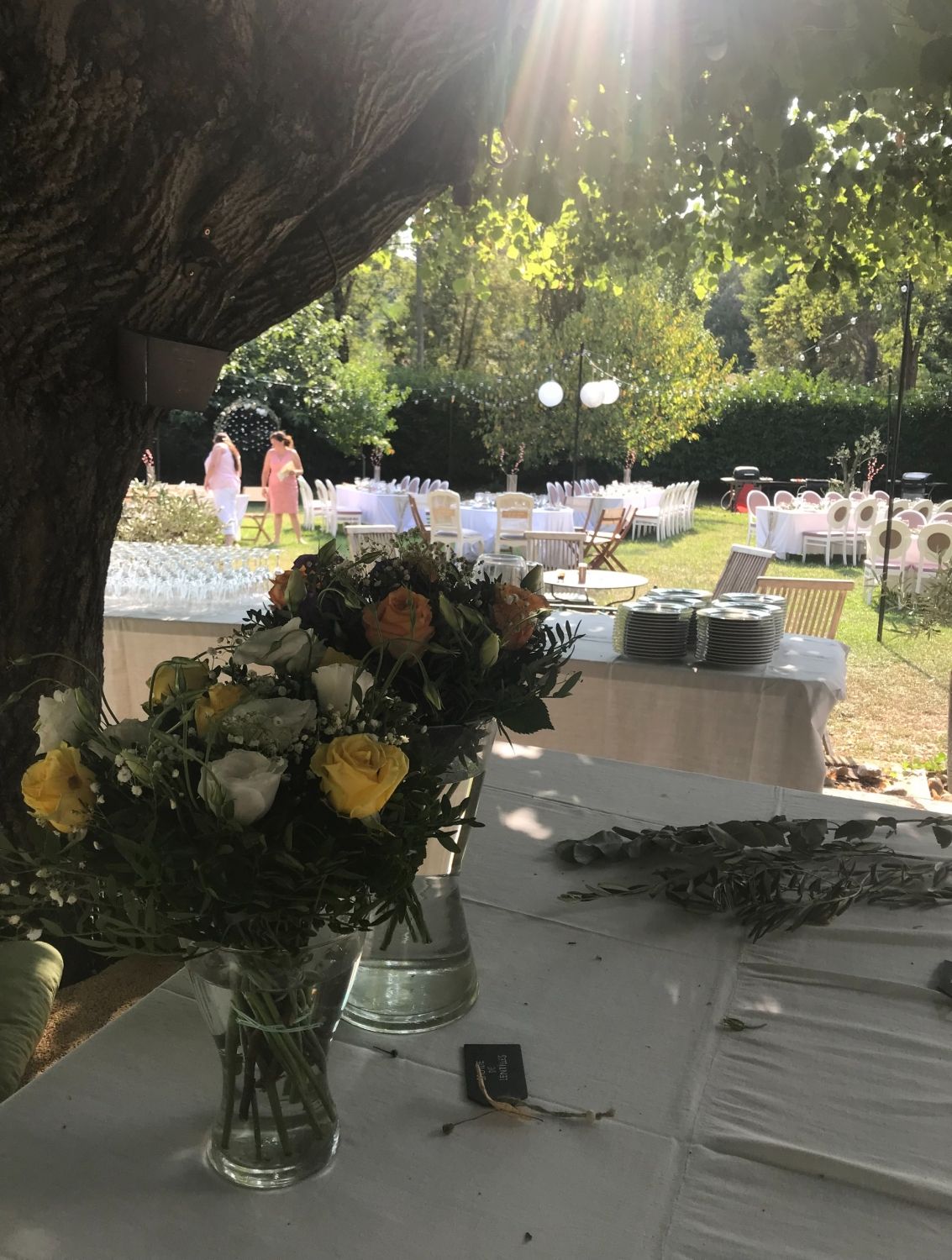 Pretty Provençal Mas (Swimming pool and Pool house)