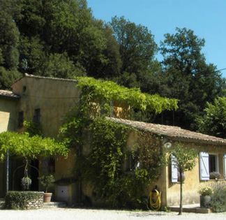 Pretty Provençal Mas (Swimming pool and Pool house)