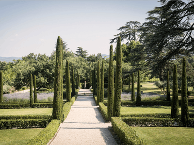 Domain of excellence designed like a vacation home