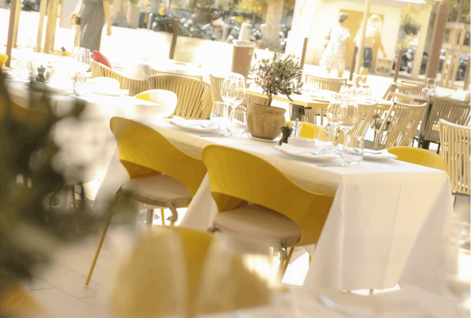 Authentique restaurant méditerranéen à Cannes pour des événements et des dîners élégants