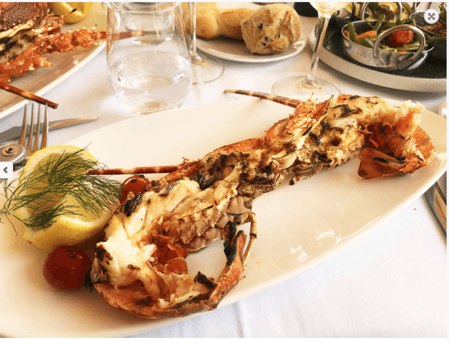 Mediterranean excellence restaurant
