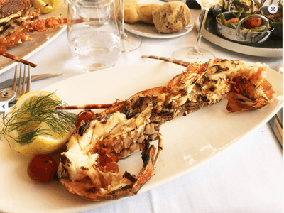 Mediterranean excellence restaurant