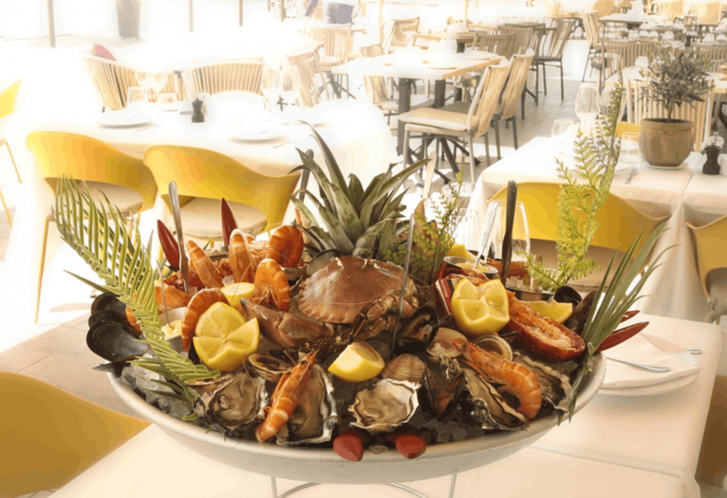 Mediterranean excellence restaurant