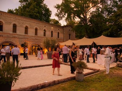 Romantic 15th century castle 45 minutes from Avignon