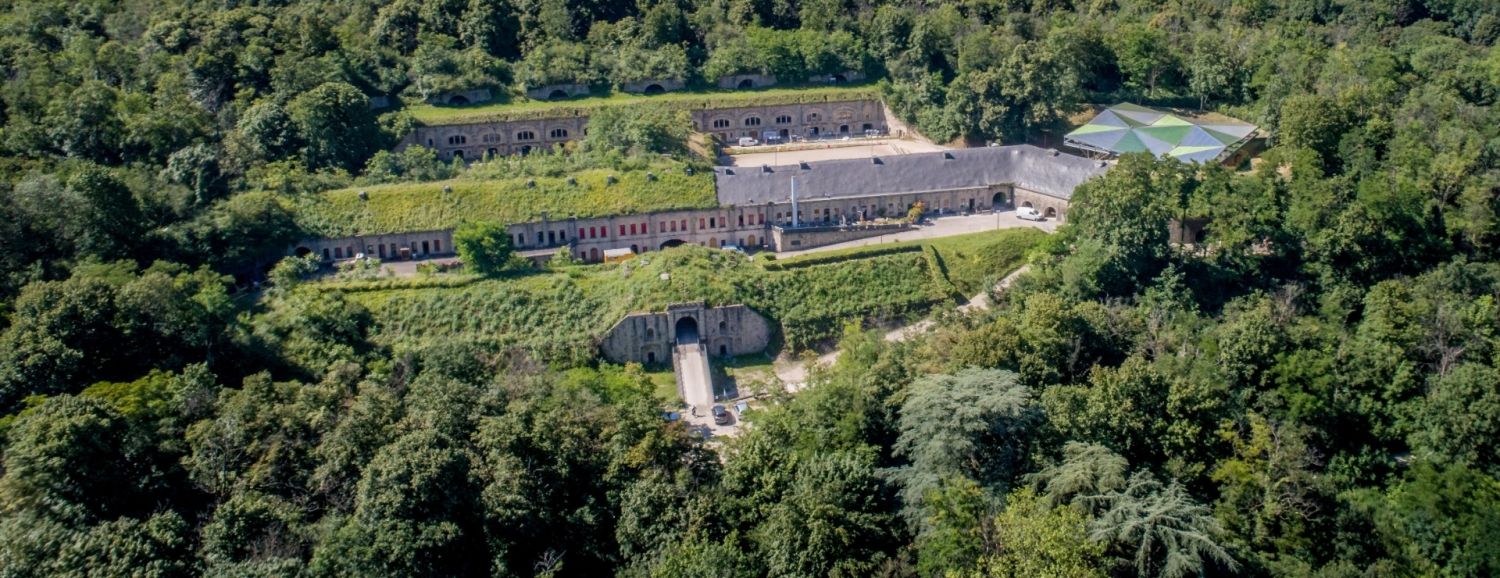 Feyzin Fort