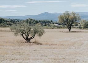 18th century renovated bastide with beautiful mountain view