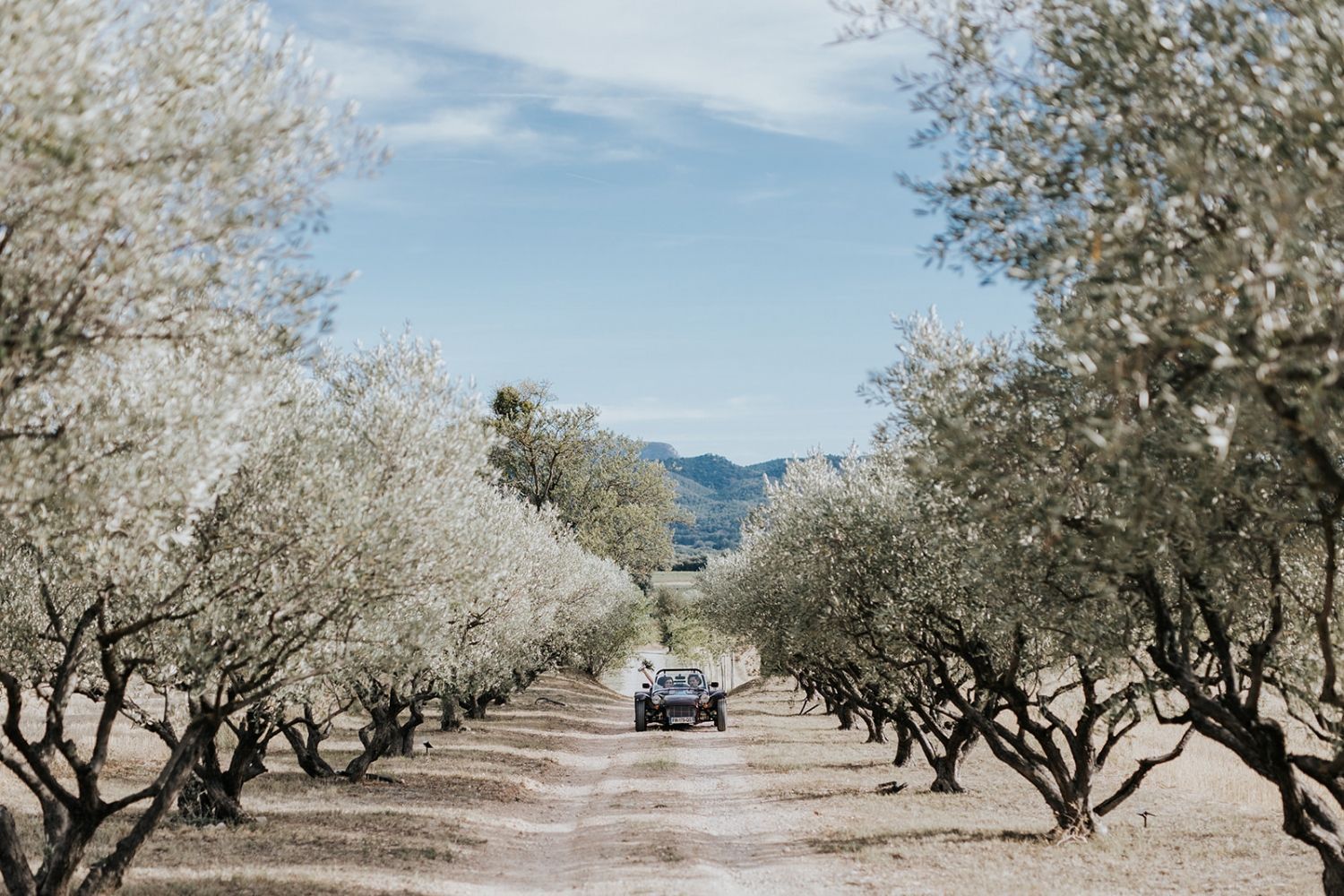18th century renovated bastide with beautiful mountain view