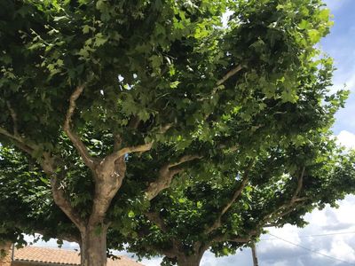 Provencal farmhouse for events