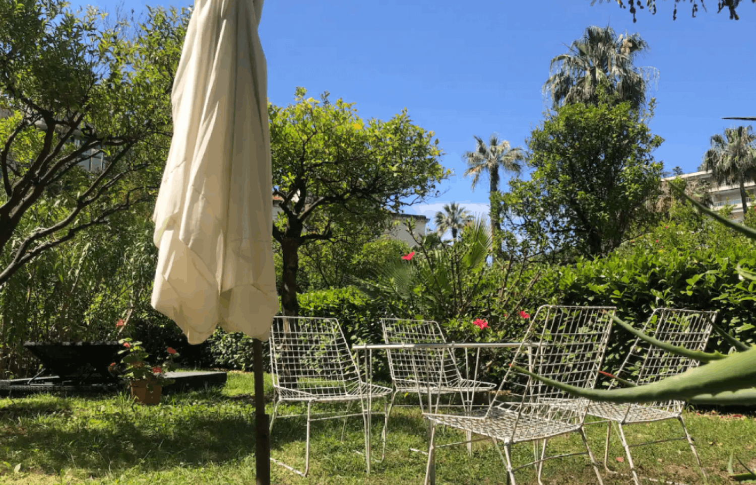 Unique secret garden in the center of Cannes