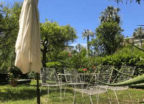 Unique secret garden in the center of Cannes