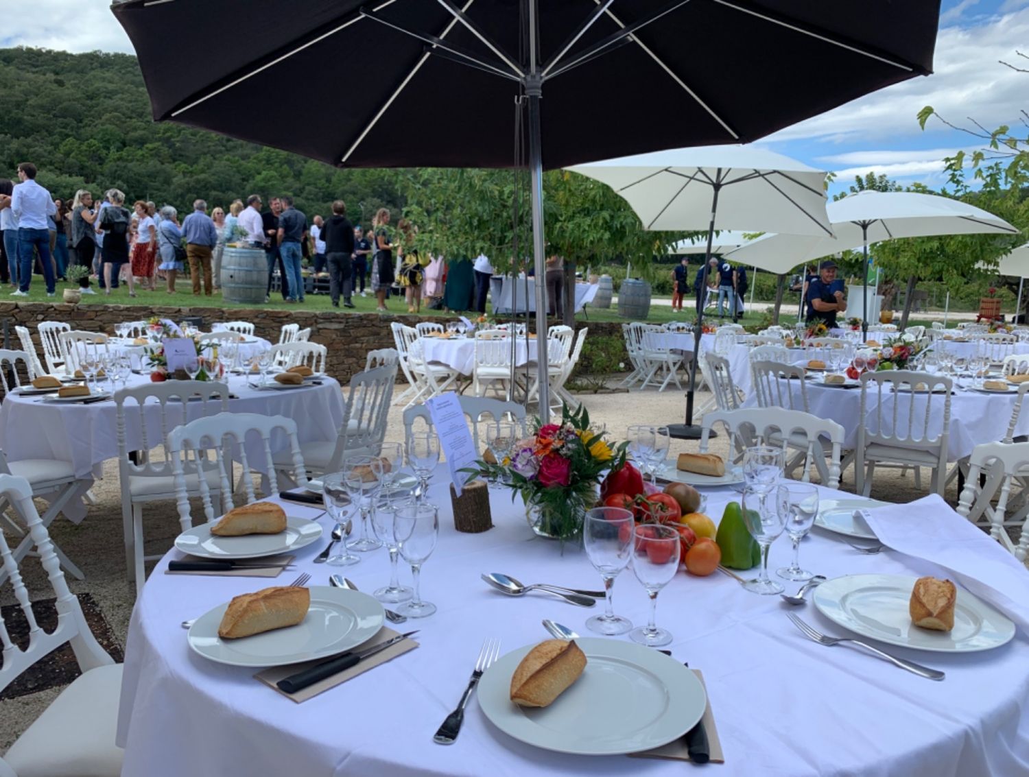 Domaine Viticole Golfe de Saint Tropez