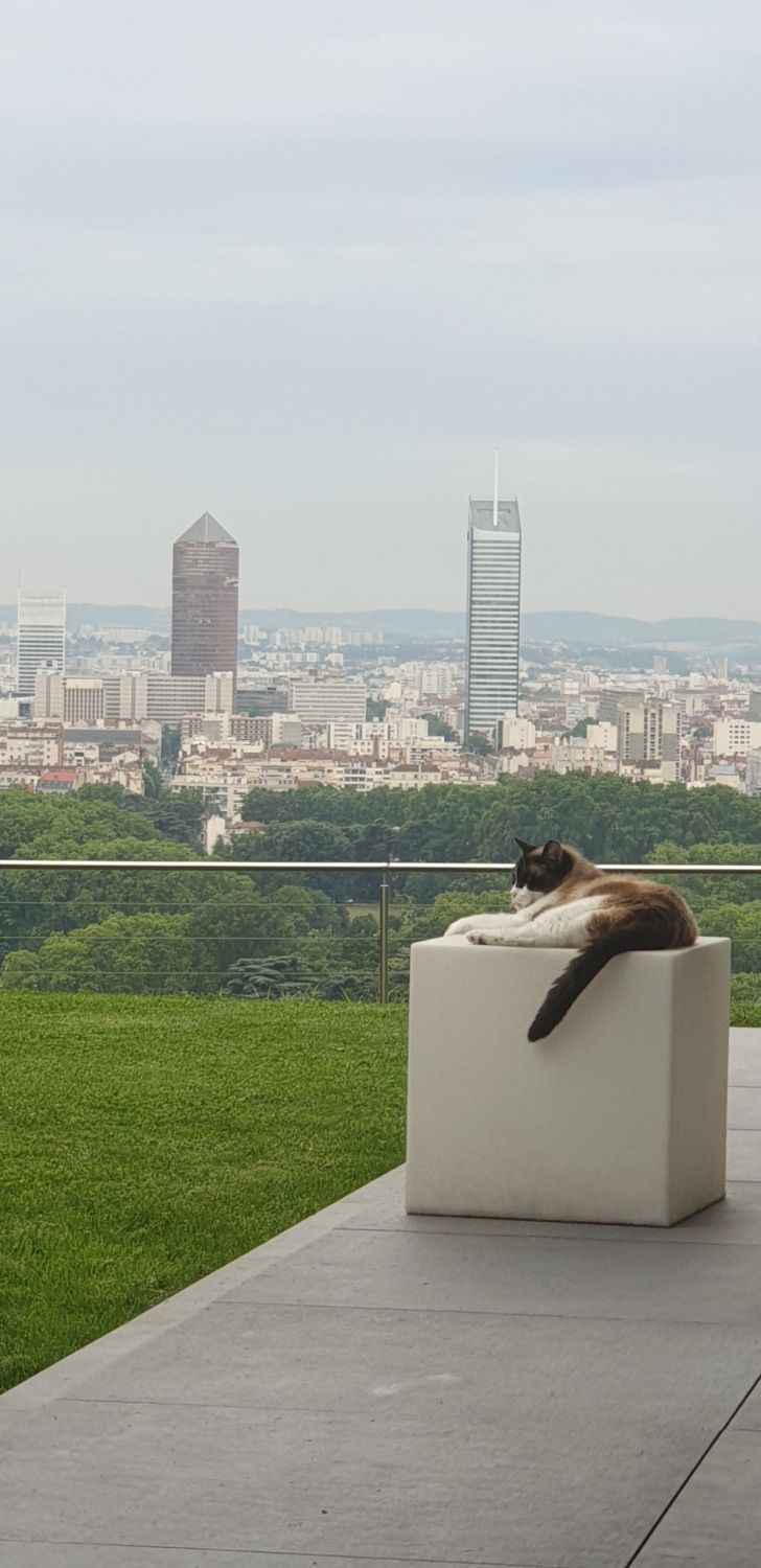 Villa 230 m2 beautiful view of Lyon