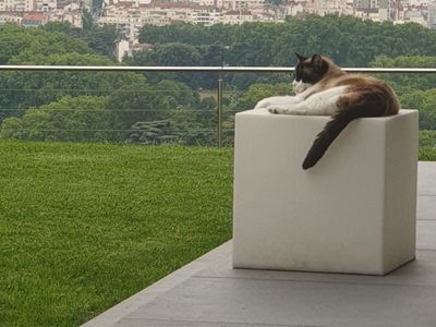 Villa 230 m2 belle vue sur Lyon