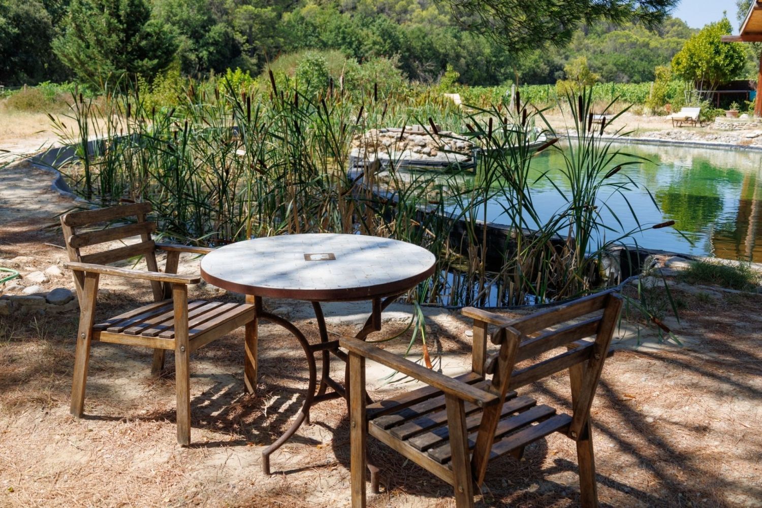 Domaine dans le Vaucluse 