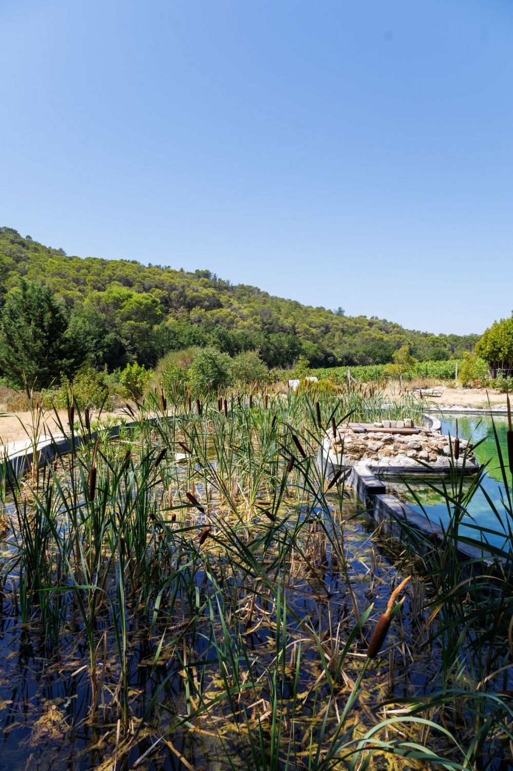 Domaine dans le Vaucluse 