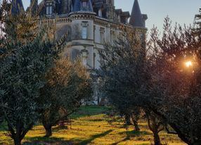 Castle in Provence