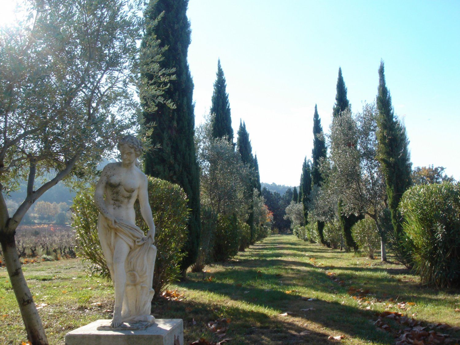 Estate in Saint-Cyr sur Mer | Vineyard & Park Setting