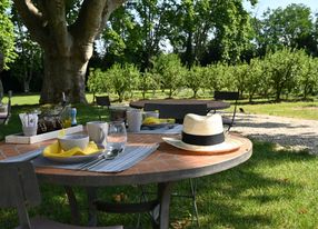 Provençal farmhouse in 17th Avignon