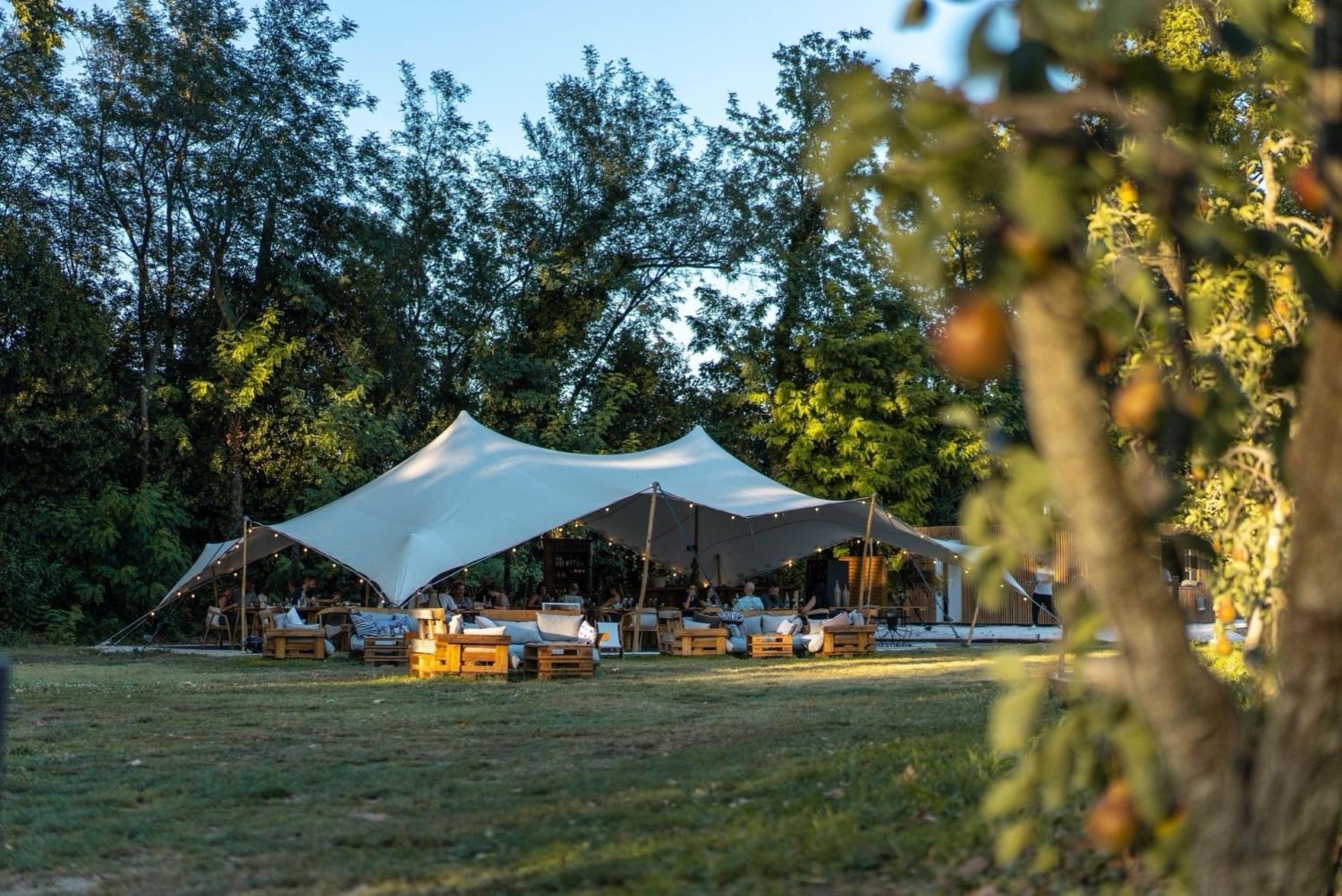 Restaurant installed under a tent in a pear orchard in Avignon