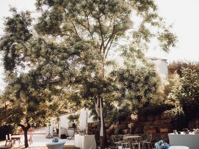 Château en Provence entre vignes et forêts