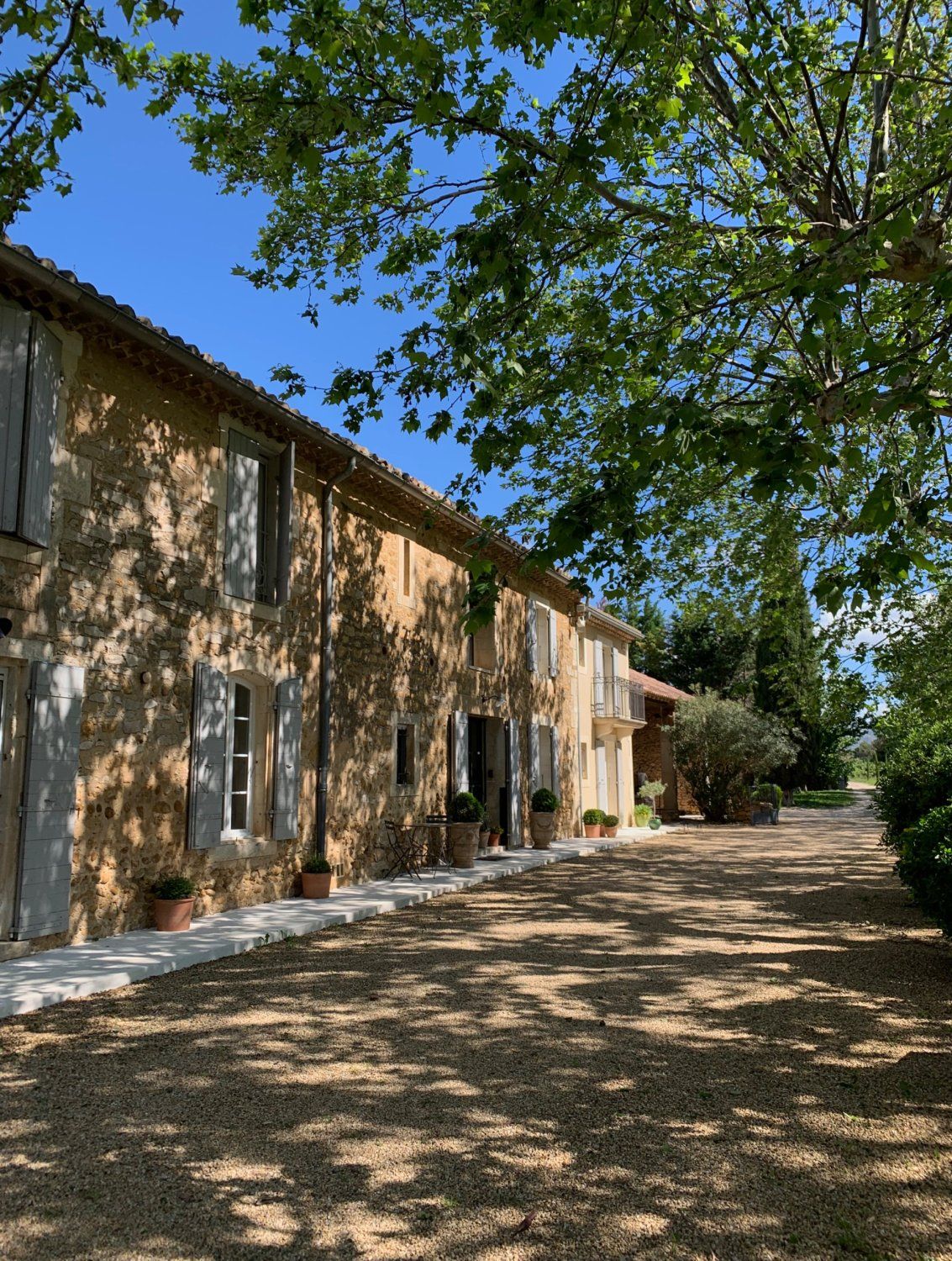 Mas provençal au coeur des Alpilles - Domaine agricole de 20 hectares