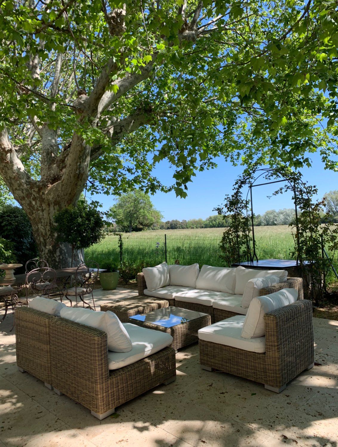 Mas provençal au coeur des Alpilles - Domaine agricole de 20 hectares