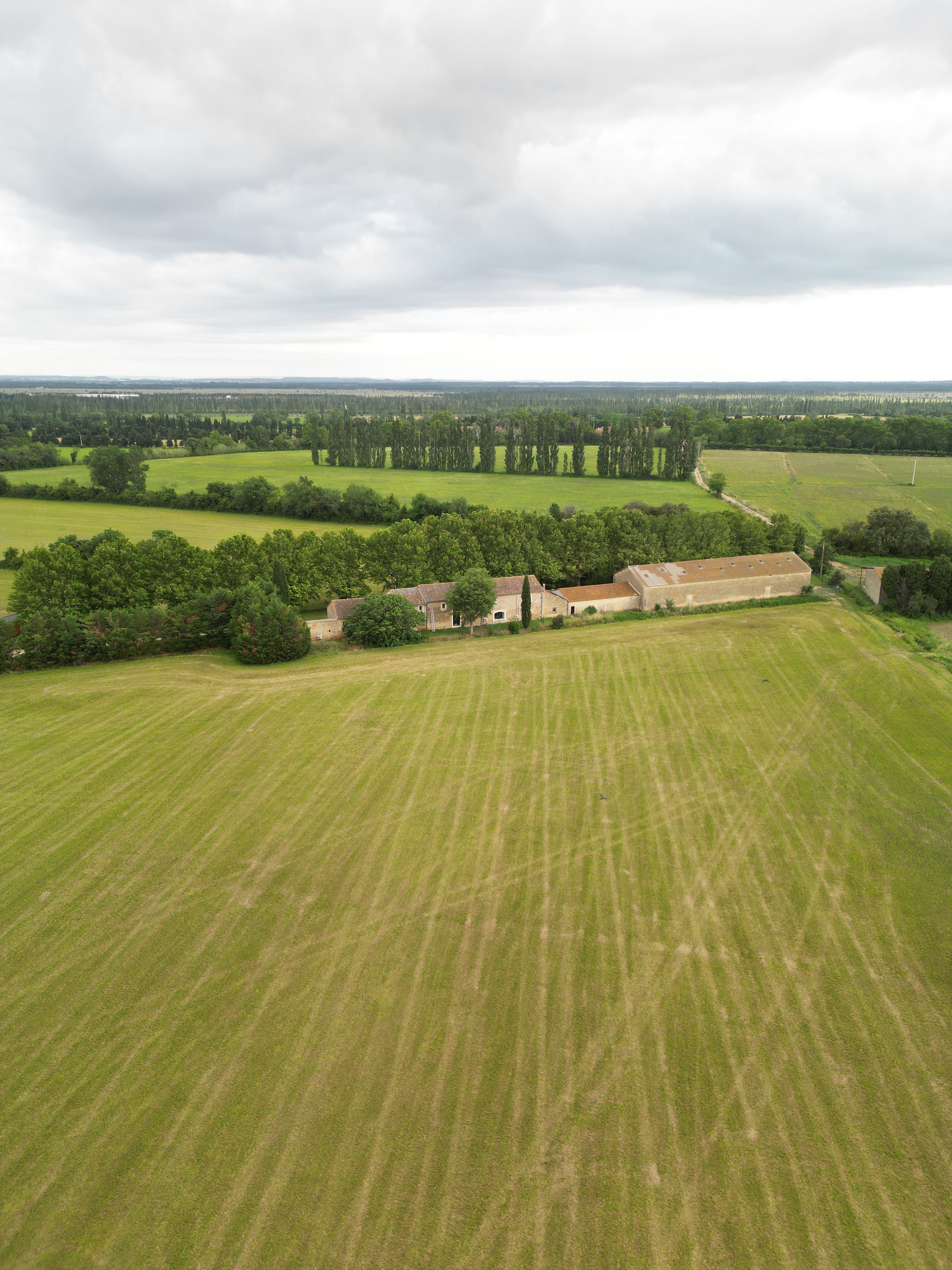 Mas provençal au coeur des Alpilles - Domaine agricole de 20 hectares